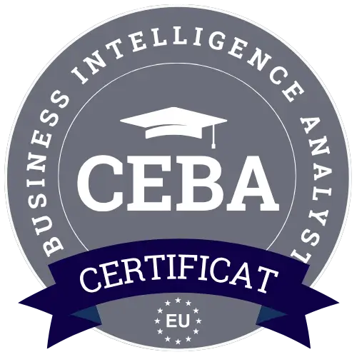 Curs de expert informatii afaceri
