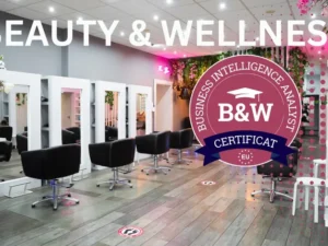 curs-manager-financiar-beauty-wellness-amc360-card