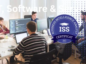 curs-manager-financiar-it-software-servicii-amc360