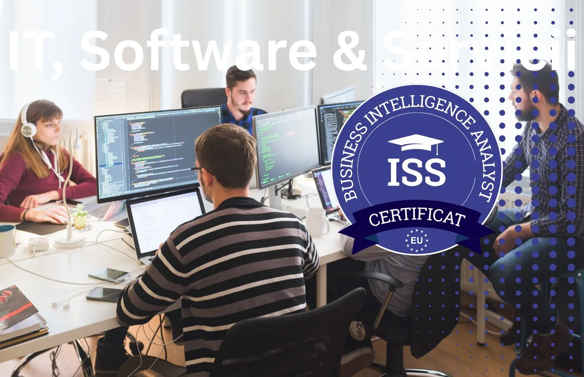 curs-manager-financiar-it-software-servicii-amc360