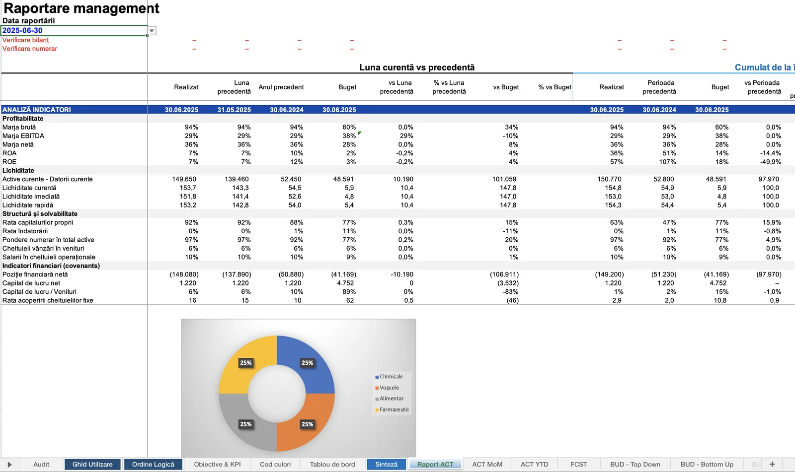 Raportare management din modelul Excel FCO — analiza indicatorilor de profitabilitate, lichiditate și solvabilitate, realizat vs. buget