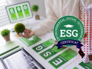 Curs ESG Aplicat: Audit și Sustenabilitate – AMC360
