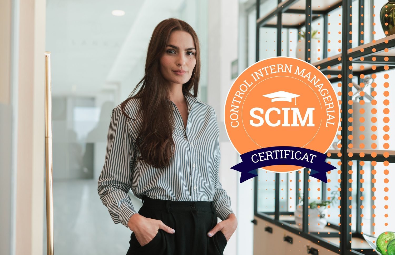 Curs Control Intern Managerial (SCIM) Aplicat – AMC360