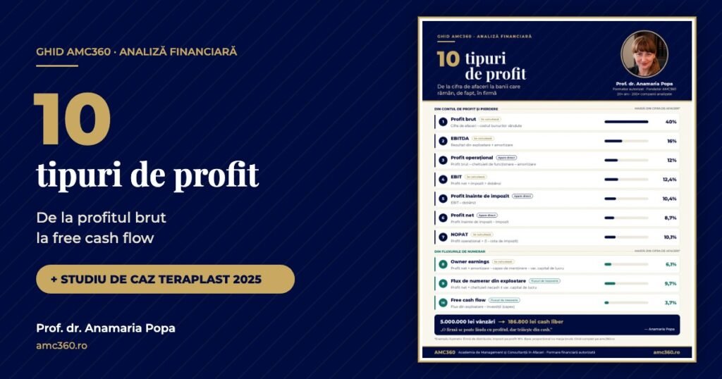 Cele 10 tipuri de profit, de la profitul brut la free cash flow, cu studiu de caz TeraPlast 2025 – AMC360
